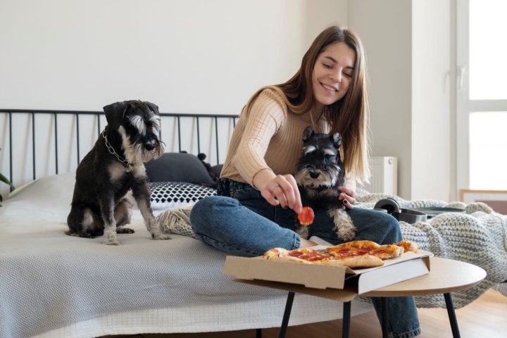 pet-boarding-pet-sitting