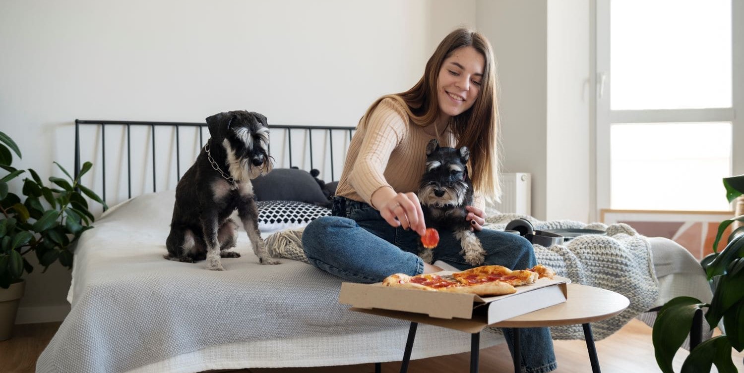 Pet Sitting versus Pet Boarding which is better for your Pet?